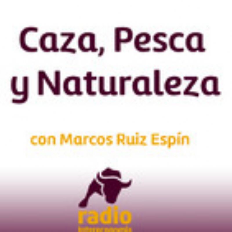 Entrevista en Radio Intereconoma