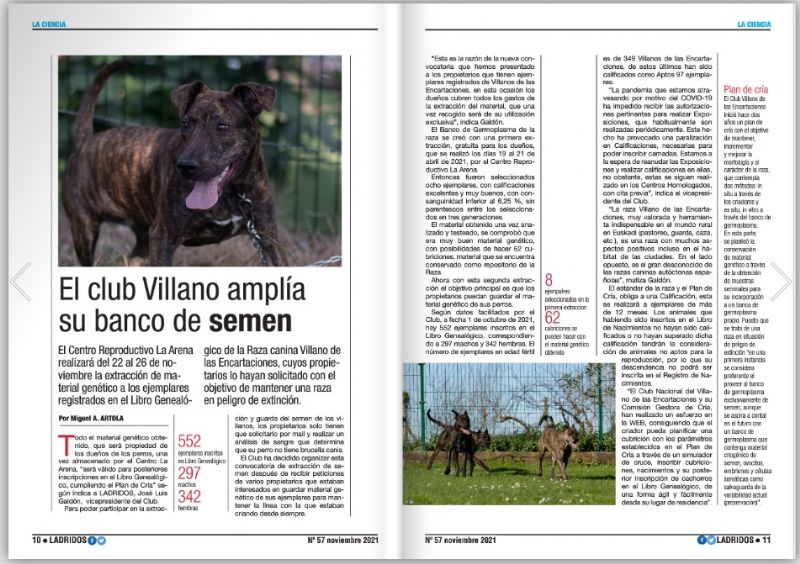 Articulo Villano de las Encartaciones