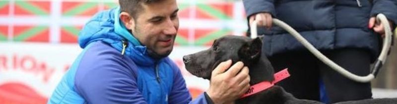Un registro de perros villanos proteger a la raza encartada