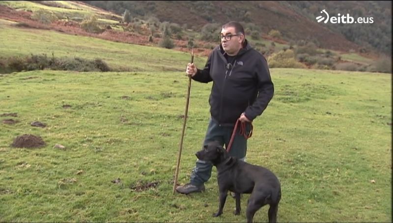 Reportaje al Villano de las Encartaciones en el programa Sustraia en Eitb